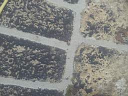 sandymount tower-13760.jpg